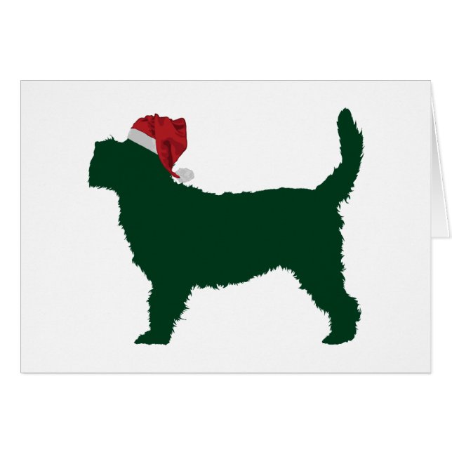 Grand Basset Griffon Vendeen (Front Horizontal)