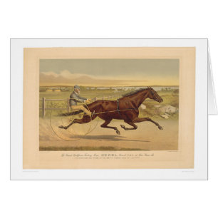 Grand California Trotting Mare Sunol (0652A)