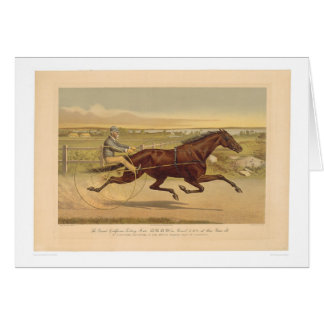 Grand California Trotting Mare Sunol (0652A)