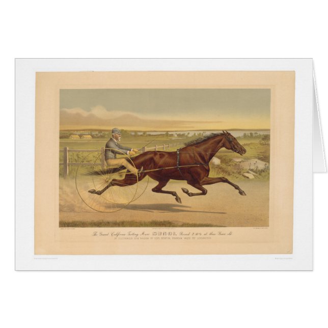 Grand California Trotting Mare Sunol (0652A) (Front Horizontal)