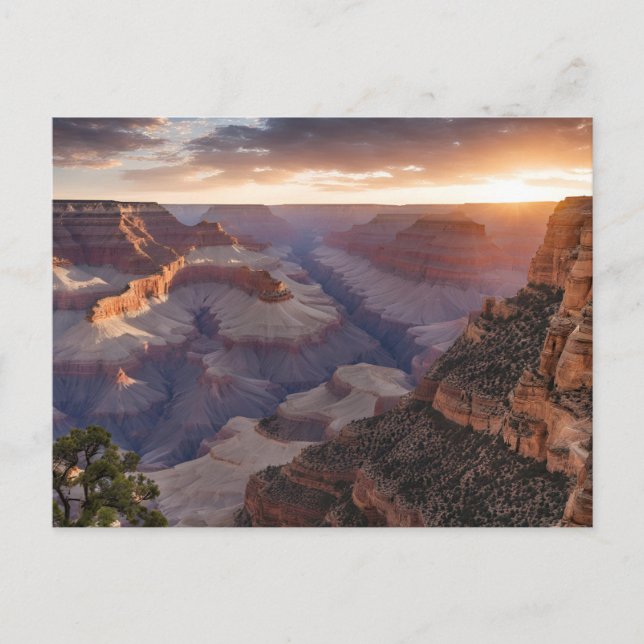 Grand Canyon (3) Postcard (Front)