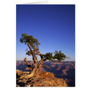 Grand Canyon, Arizona, USA