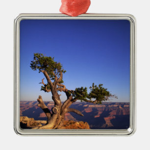 Grand Canyon, Arizona, USA Metal Tree Decoration