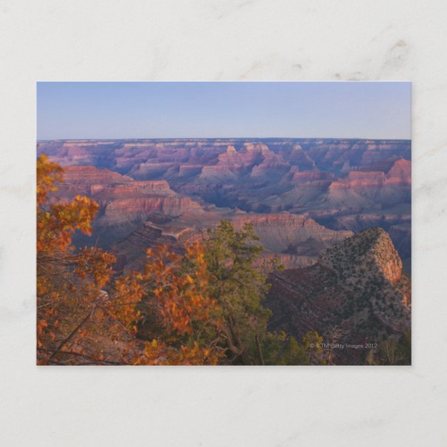 Grand Canyon at Sunrise Postcard (Front)