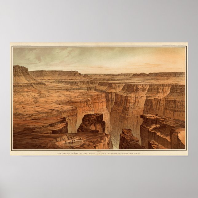 Grand Canyon at the foot of the Toroweap Poster (Front)
