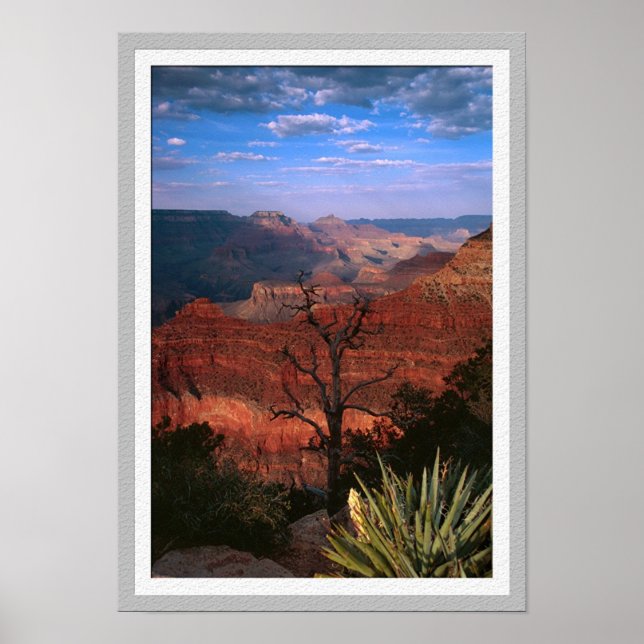 Grand Canyon Flora Poster (Front)