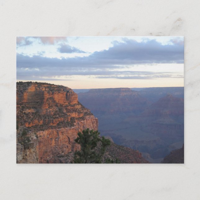 Grand Canyon morning Postcard (Front)