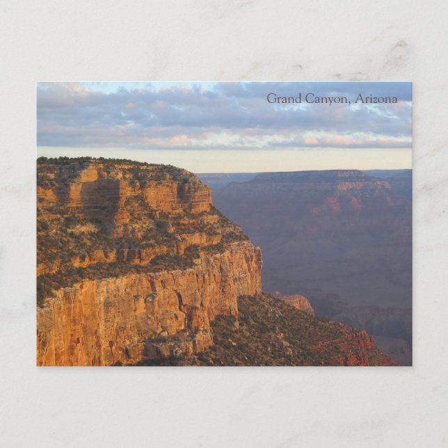 Grand Canyon morning Postcard (Front)