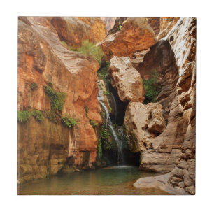 Grand Canyon National Park, Arizona Tile