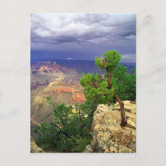 Grand Canyon National Park, Arizona, United 3 Postcard (Front)