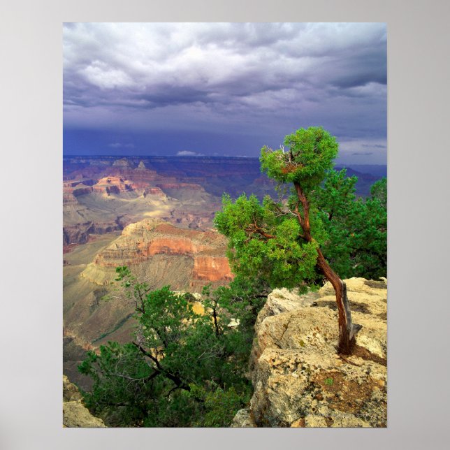 Grand Canyon National Park, Arizona, United 3 Poster (Front)