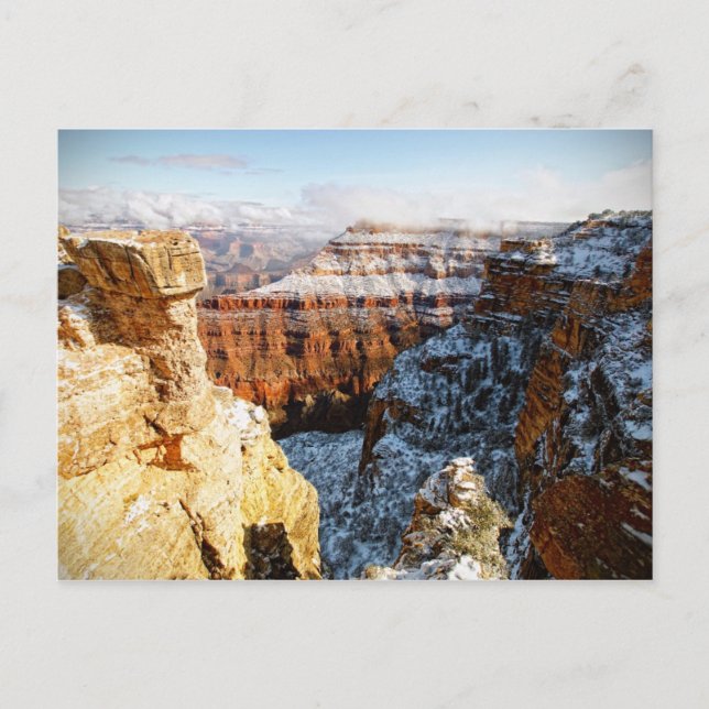 Grand Canyon National Park, Arizona, USA Postcard (Front)