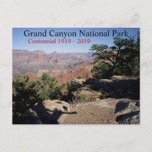 Grand Canyon National Park Centennial 2019 Postcard