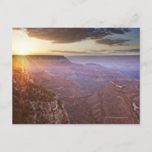 Grand Canyon National Park in Arizona Postcard