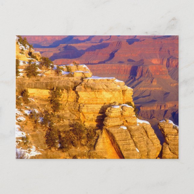 Grand Canyon National Park in Winter Postcard (Front)