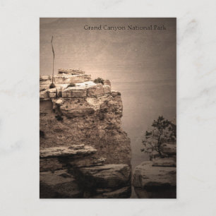 Grand Canyon National Park Post Card