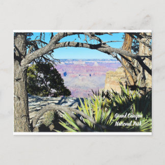 Grand Canyon National Park Postcard