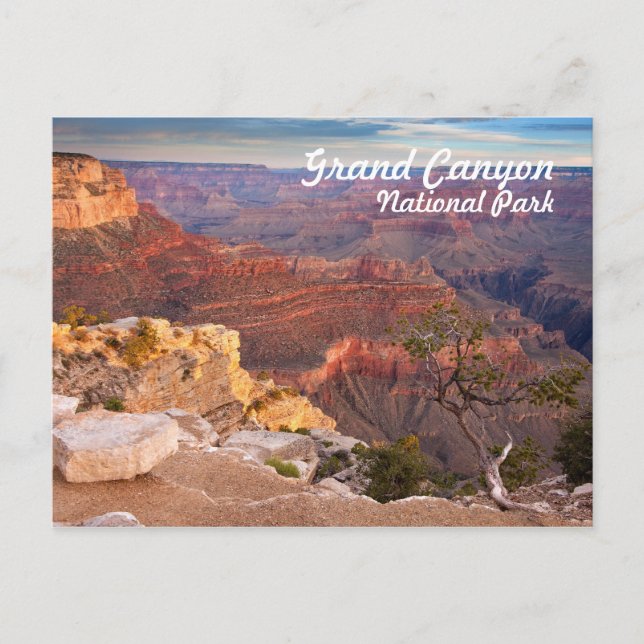 Grand Canyon National Park Postcard (Front)