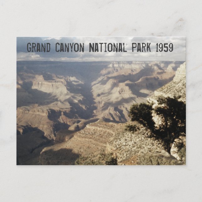 Grand Canyon National Park Postcard (Front)