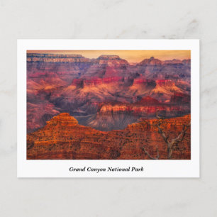 Grand Canyon National Park Postcard