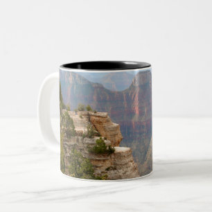 Grand Canyon North Rim lookout Two-Tone Coffee Mug