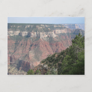 Grand Canyon North Rim Postcard