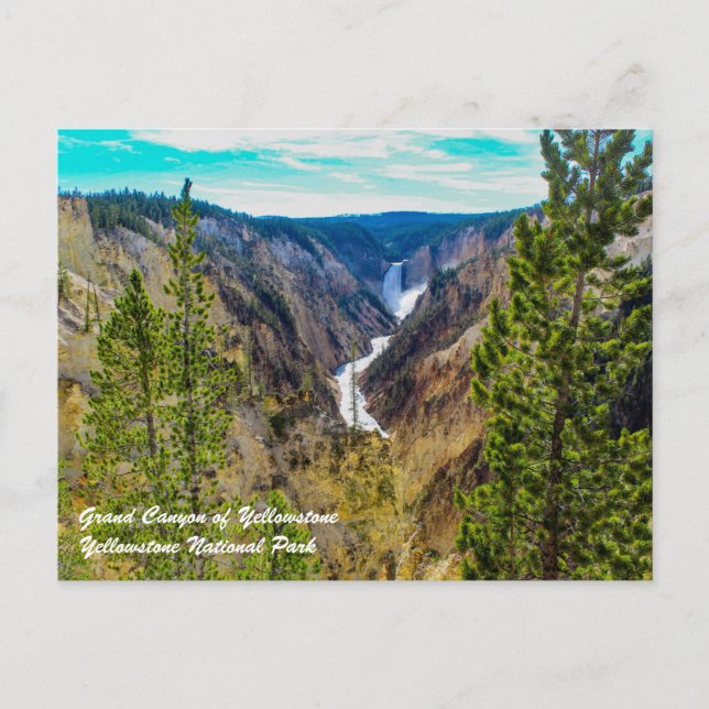 Grand Canyon of Yellowstone Postcard (Front)