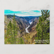 Grand Canyon of Yellowstone Postcard