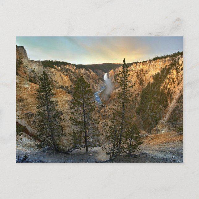 Grand Canyon of Yellowstone, Yellowstone Postcard (Front)