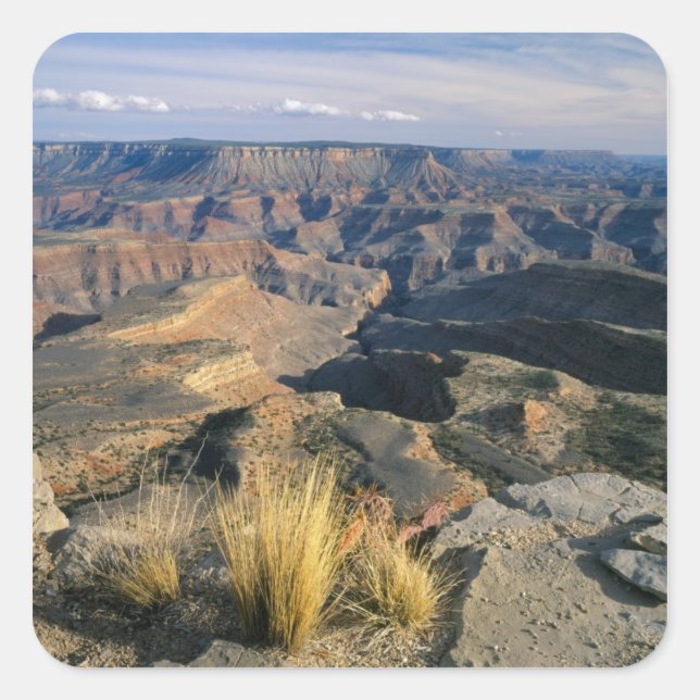 Grand Canyon-Parashant National Monument, 2 Square Sticker (Front)