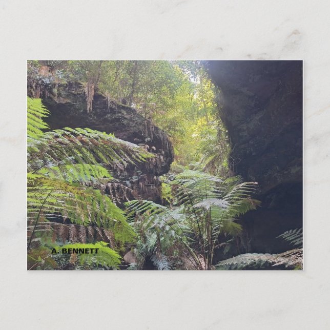 Grand Canyon Postcard (Front)