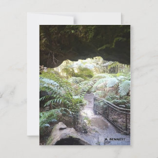 Grand Canyon Postcard