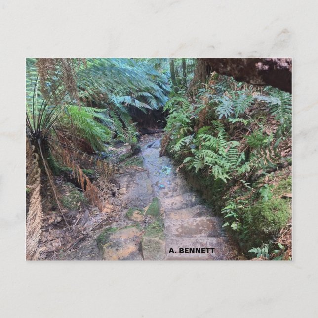 Grand Canyon Postcard (Front)