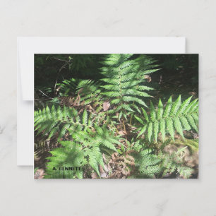 Grand Canyon Postcard