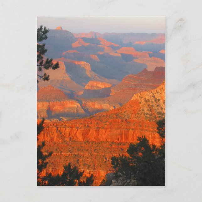 grand canyon postcard (Front)