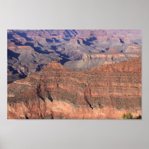 Grand Canyon Posters