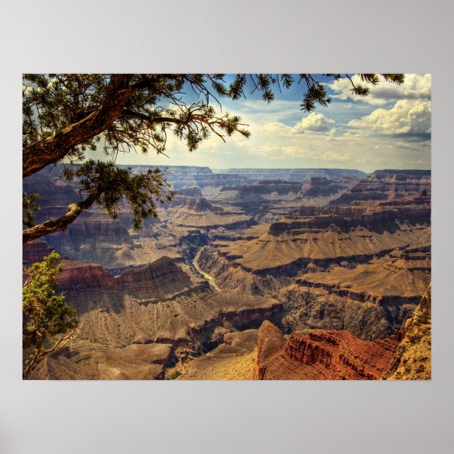 Grand Canyon Print (Front)