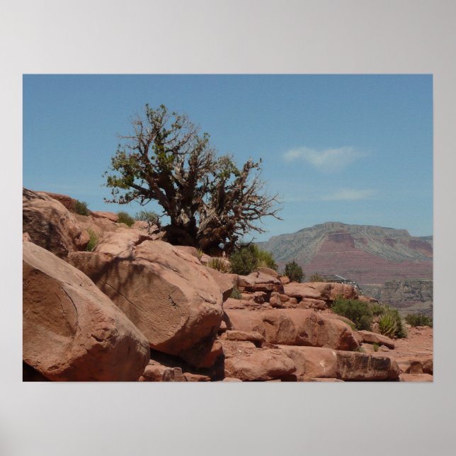 Grand Canyon Shrub Poster (Front)