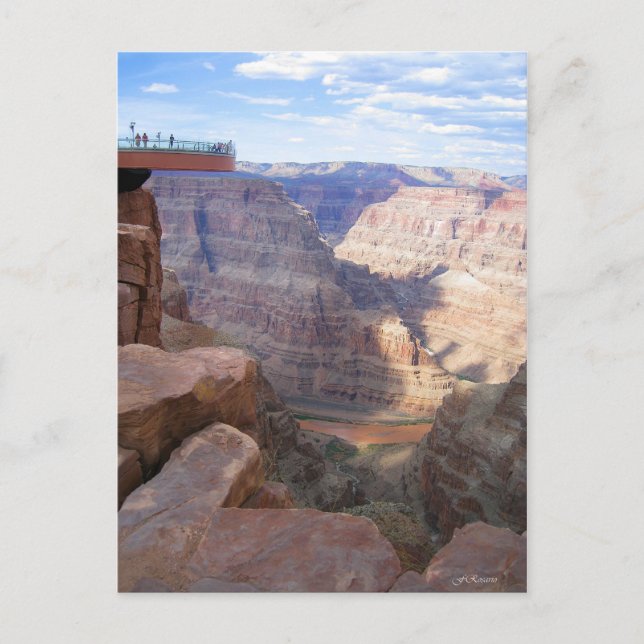 Grand Canyon / Skywalk Postcard (Front)