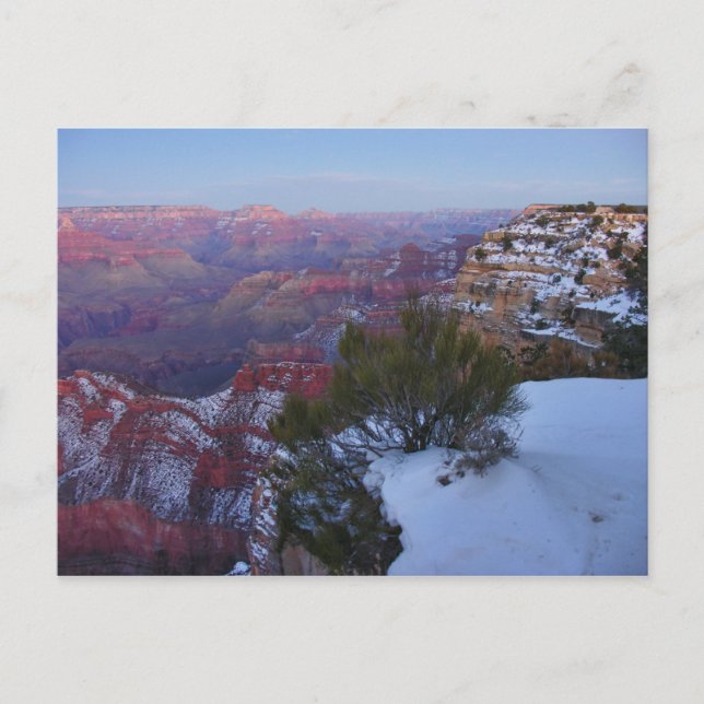 Grand Canyon Snow Postcard (Front)