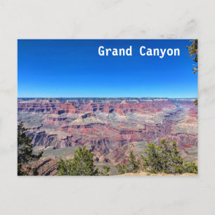Grand Canyon South Rim  Postcard