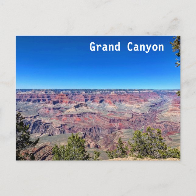 Grand Canyon South Rim  Postcard (Front)