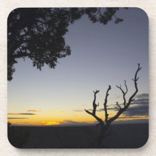 Grand Canyon Sunset Cork Coaster