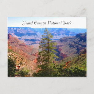grand canyon tree postcard