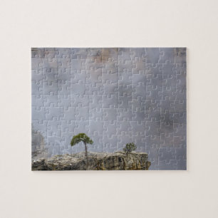 Grand Canyon Tree Puzzle