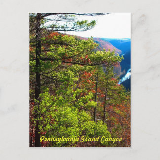 Grand Canyon , Wellsboro Pa Postcard