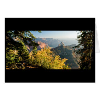 Grand Canyon with a golden birch