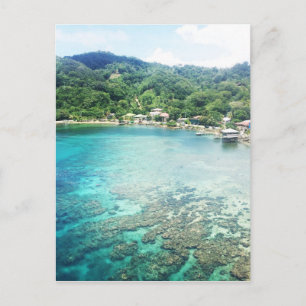 Grand Cayman Coral Reef Postcard