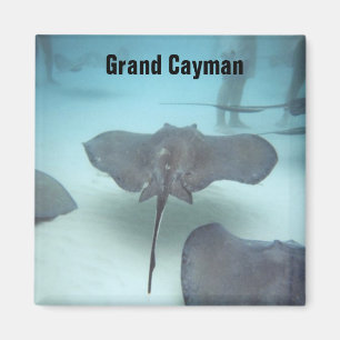 Grand Cayman Island magnet