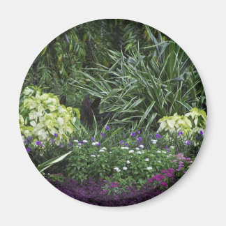 Grand Cayman Islands Magnet